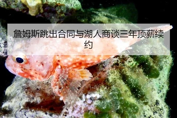 zhan-mu-si-tiao-chu-he-tong-yu-hu-ren-shang-tan-san-nian-ding-xin-xu-yue-1-301.jpg